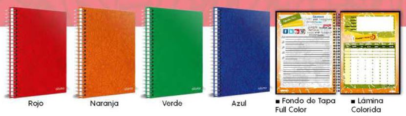 Cuaderno Univ.  T/D Araña 48 H - 1 Raya