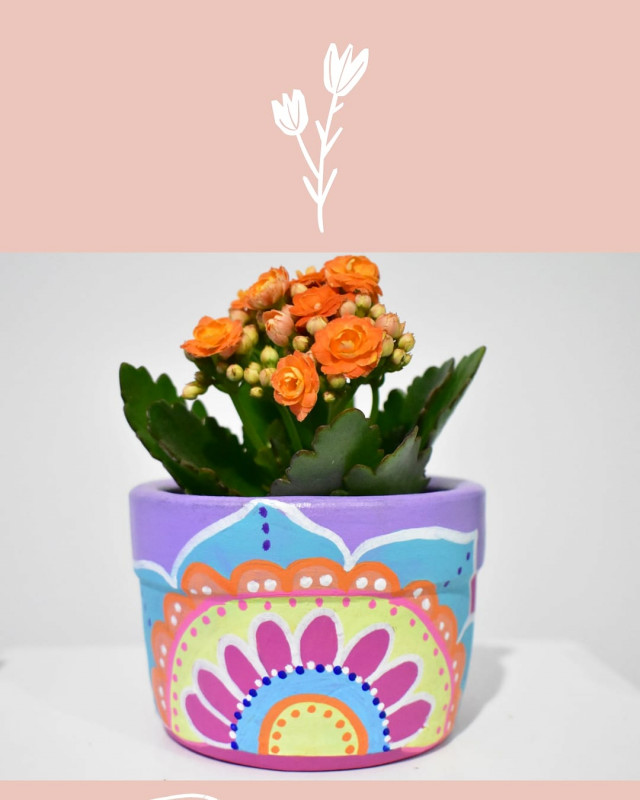 Macetitas decorativas con Kalanchoes pintadas a mano