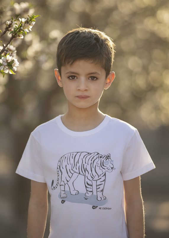 remera tigre con patineta