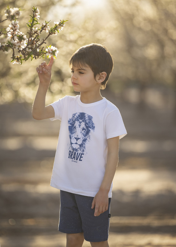 remera estampada leon