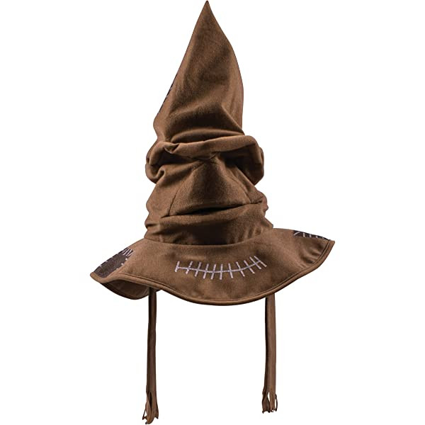 DISGUISE HARRY POTTER SORTING HAT