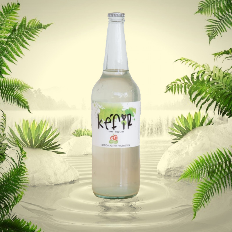 KEFIR UVA 340 ML