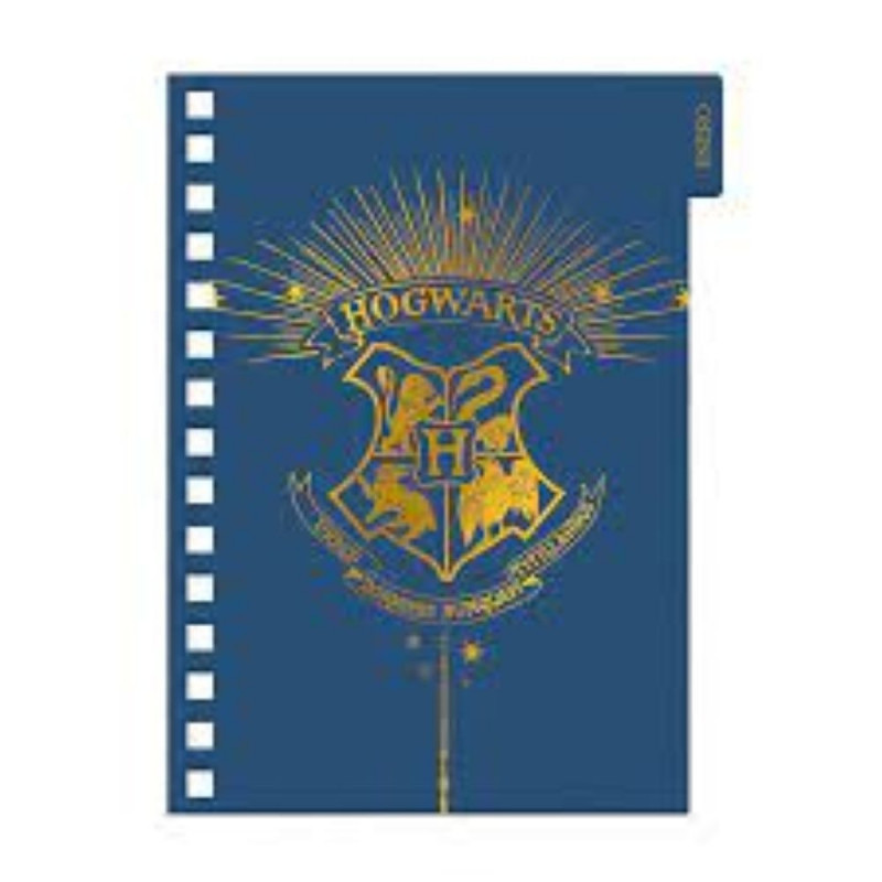 Agenda Harry Potter 2024 2dias por pagina 14x20 Mooving