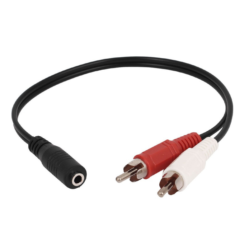 Cable RCA macho x 2 a 3.5 hembra