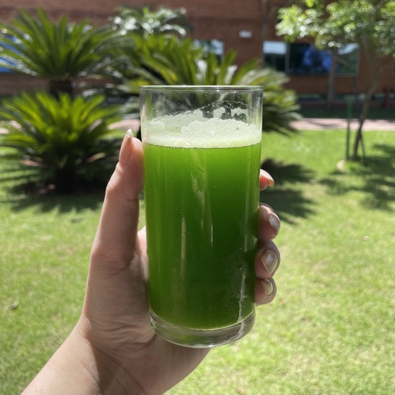 Jugo verde