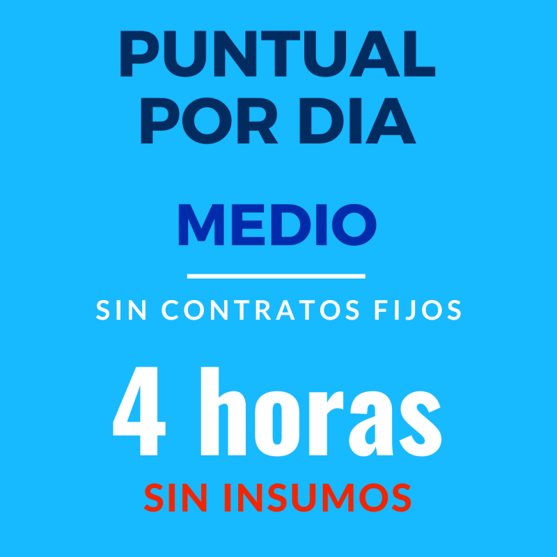 Limpieza por día 4 horas