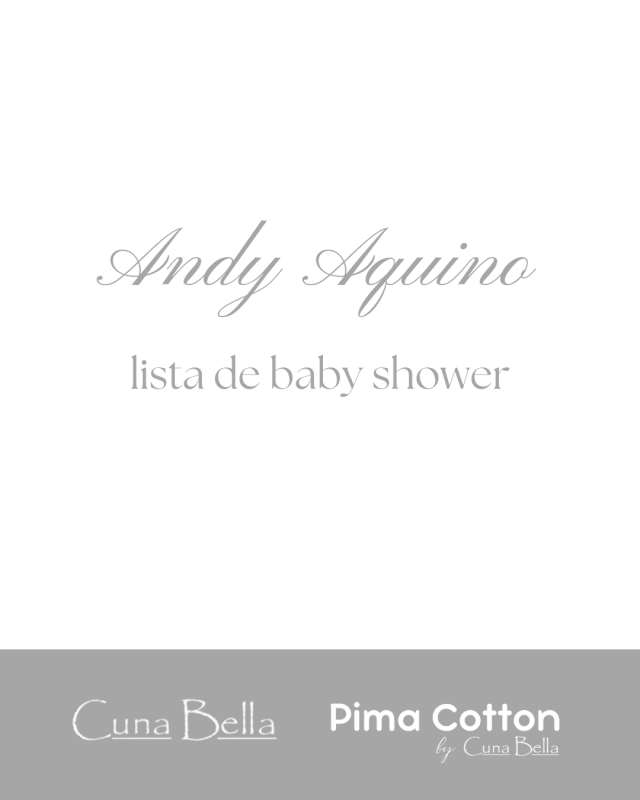 Andy Aquino
