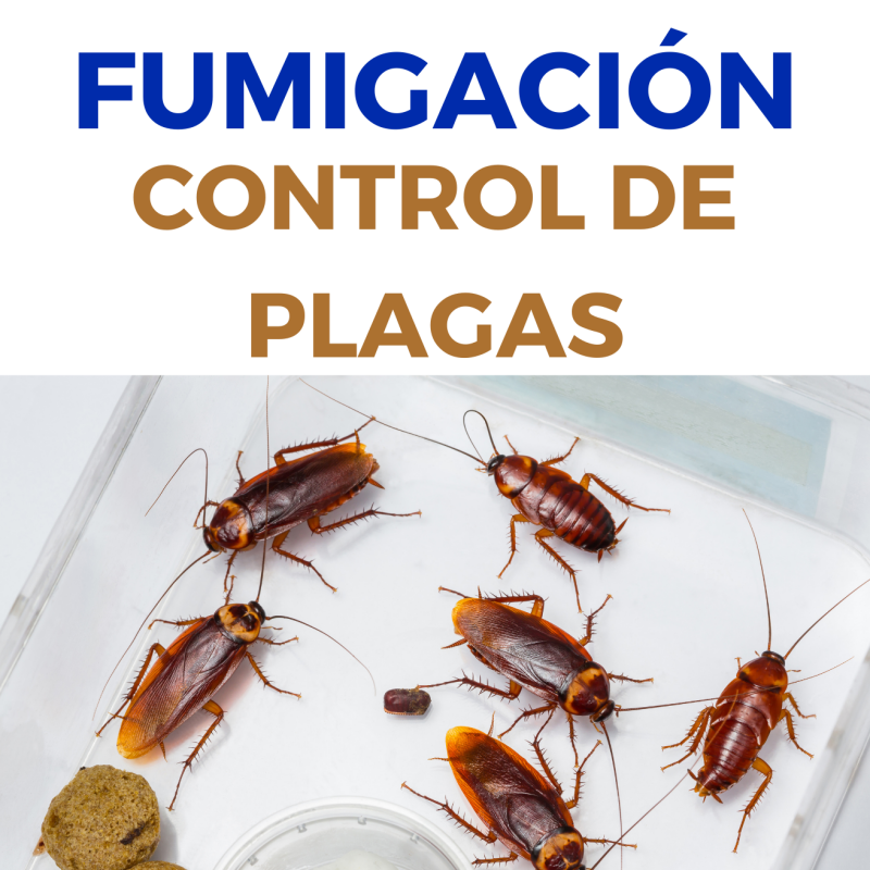 Fumigación I Control de plagas