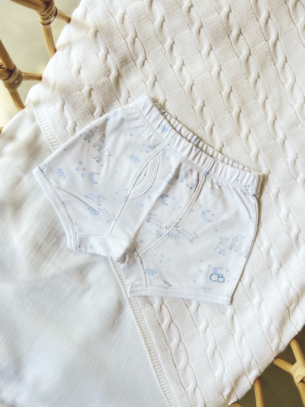 boxer estampado raul