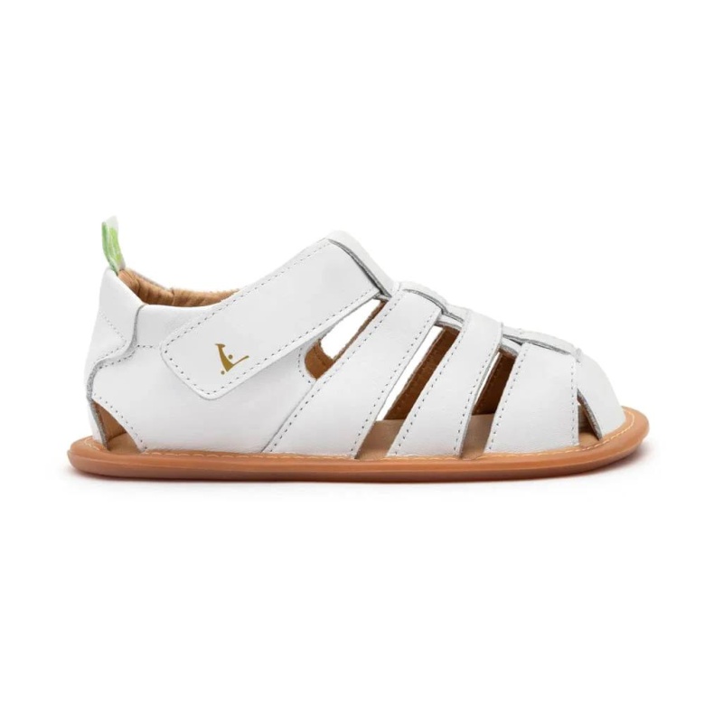 sandy white