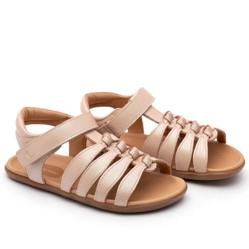 fern candy dream